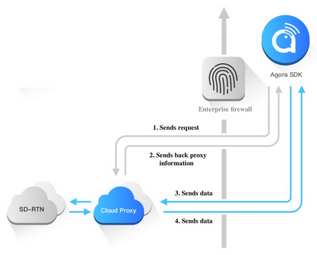 Agora Cloud Proxy
